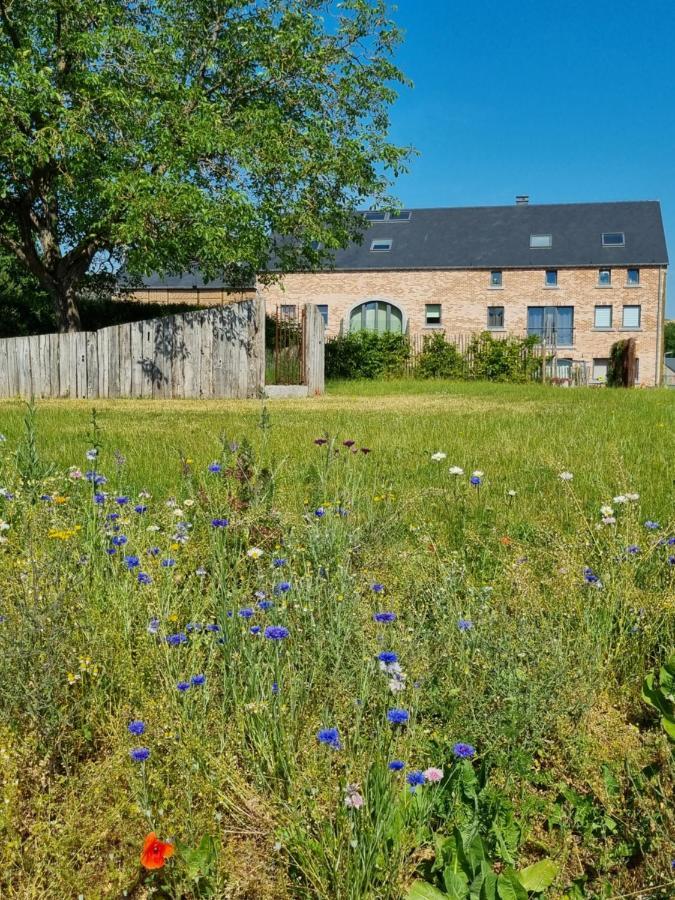 Cerf, Ouvre-moi Bed & Breakfast Rochefort